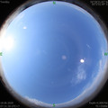 1592440310.jpg