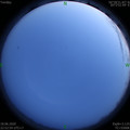1592495598.jpg