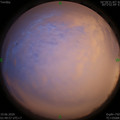 1592506238.jpg