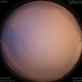 1592506358.jpg