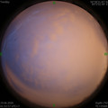 1592506478.jpg