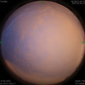 1592506538.jpg
