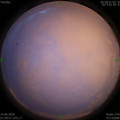 1592506838.jpg