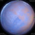 1592509074.jpg