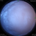 1592511265.jpg