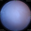 1592511385.jpg