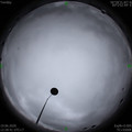 1592544537.jpg