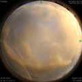 1592577042.jpg