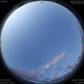 1592603455.jpg