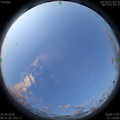 1592603845.jpg