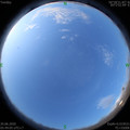 1592606967.jpg