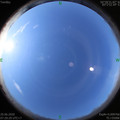 1592612460.jpg