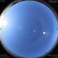 1592612850.jpg