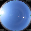 1592613240.jpg