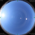 1592614411.jpg