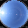 1592615191.jpg