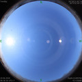 1592617142.jpg