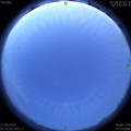 1592681164.jpg
