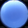 1592681464.jpg