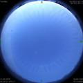 1592682004.jpg