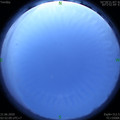 1592682784.jpg