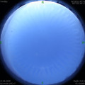 1592682904.jpg