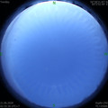 1592682994.jpg