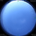 1592683910.jpg