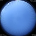 1592685966.jpg