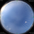 1592694595.jpg