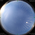 1592694985.jpg