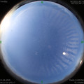 1592695376.jpg