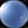 1592695766.jpg