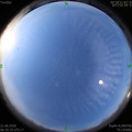 1592696156.jpg