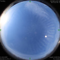 1592696936.jpg