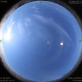 1592701228.jpg