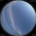 1592750918.jpg
