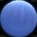 1592762459.jpg
