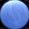 1592766511.jpg