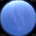 1592766796.jpg