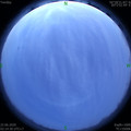 1592766916.jpg