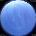 1592767036.jpg