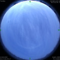 1592767096.jpg