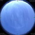 1592767216.jpg
