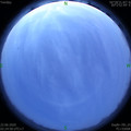 1592767546.jpg