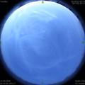 1592769347.jpg