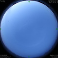 1592773099.jpg