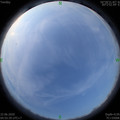 1592776566.jpg