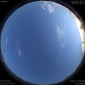 1592831838.jpg