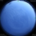 1592842958.jpg